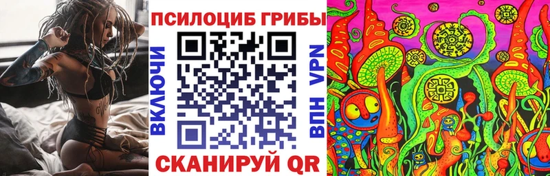 Псилоцибиновые грибы Psilocybe Дмитровск