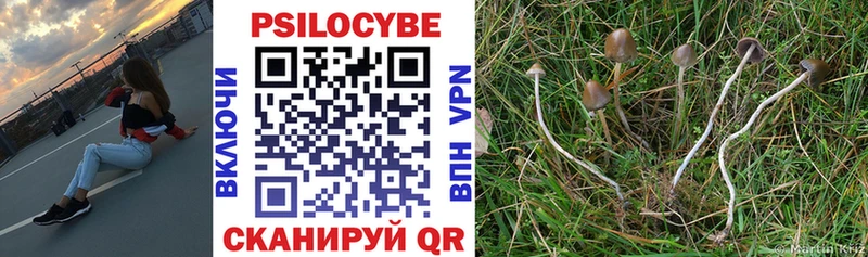 купить наркотик  блэк спрут ссылка  Псилоцибиновые грибы Magic Shrooms  Дмитровск 