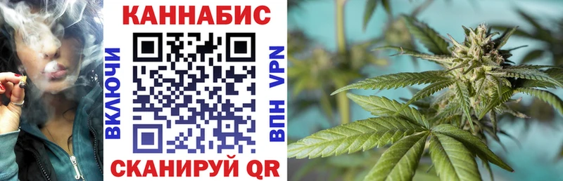 Бошки марихуана конопля  дарк нет состав  Дмитровск 